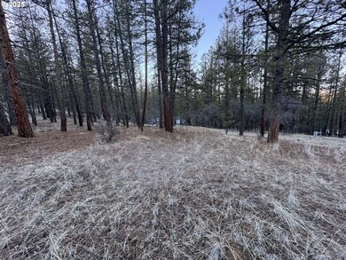 0 Bobcat Cir unit Lot 7 468719120, Beatty, OR 97621 - photo 4