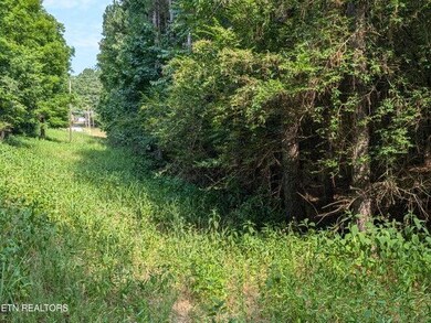 4.9 Acres Juniper Ct, Spring City, TN 37381 - photo 7