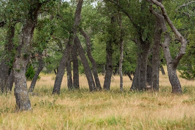 Lot 33 Nott Branch Rd unit 33, Harper, TX 78631 - photo 7