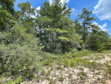 03611FB6-FBBB-4B24-A271-78DF9BB41600