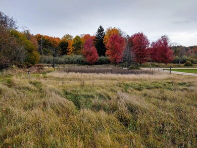 IMG_20201017_111804425_HDR