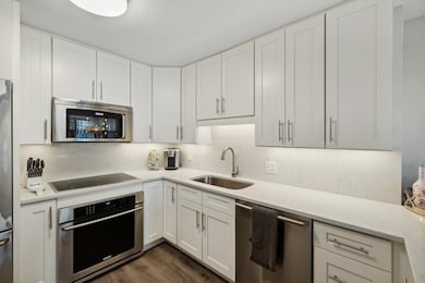 Newberry Plaza unit 31K, Chicago, IL 60610 - photo 5