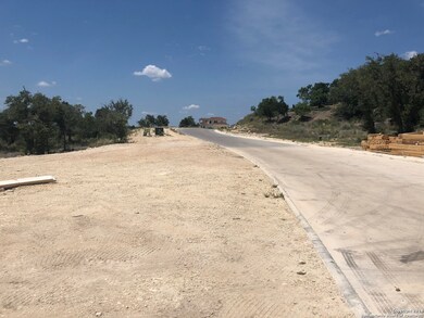 22903 Linwood Ridge, San Antonio, TX 78255 - photo 2