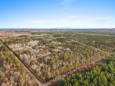 6972 W 7 Mile Rd, Grayling, MI 49738 - photo 3