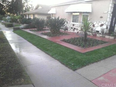 New landscape with sprinklers on timer