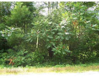 Land/Lot.