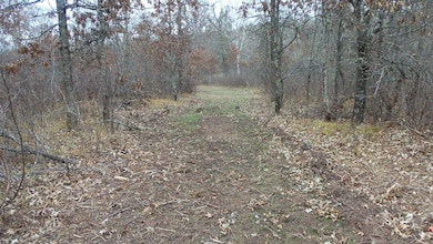 Lot 4 300th St, Sterling Township, WI 54024 - photo 6