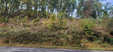 245604_9 (1)