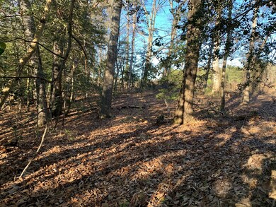 00 White Point Rd, Kinsale, VA 22488 - photo 3