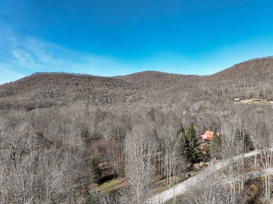 Lt 9 Hickory Hill Sec S Fork, Slaty Fork, WV 26505 - photo 5