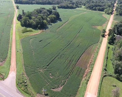 8725 Hitsman Ln, Maple Plain, MN 55359 - photo 2