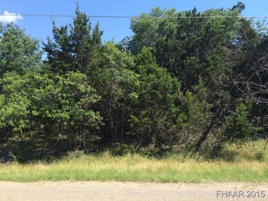 4996 Comanche Dr, Temple, TX 76502 - photo 6