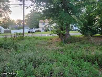 716 Commonwealth Blvd, Toms River, NJ 08757 - photo 4