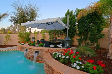 Backyard 2