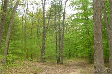 0 N Felch Ave unit 12029443, Sherman Township - Newaygo, MI 49349 - photo 5