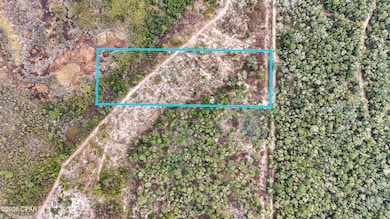 - Pine Log Rd, Chipley, FL 32428 - photo 6