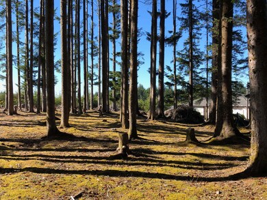 t/l 3200 SE Oar Dr, Lincoln City, OR 97367 - photo 4