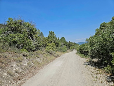 View of dirt / gravel road