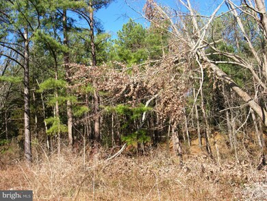 0 Orkney Grade Rd unit VASH118720, Mount Jackson, VA 22842 - photo 2