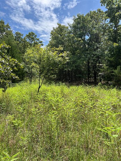View of undeveloped land