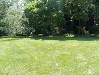 Yard/Garden.