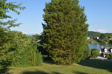 325 Gadusi Ln, Loudon, TN 37774 - photo 5