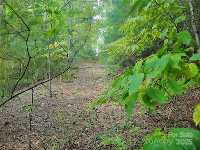 0 Pinewood Dr unit 5, Waynesville, NC 28786 - photo 2