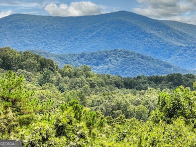 31 Haley Dr, Cherry Log, GA 30522 - photo 3