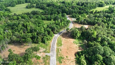 3 Tyro Branch Cove, Senatobia, MS 38668 - photo 4