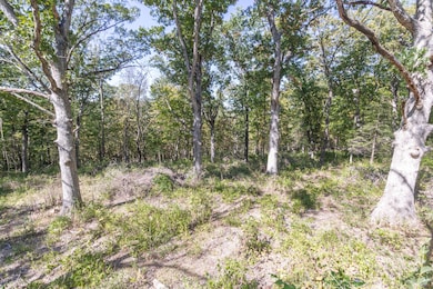 6.24 ACRES Barberry Ave, Columbia, MO 65202 - photo 7