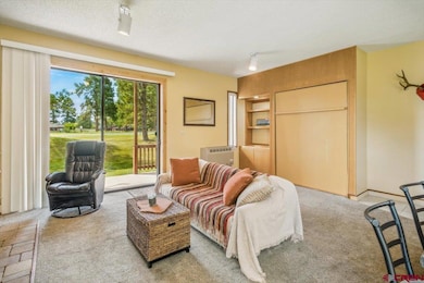 37 Valley View Dr unit 3136, Pagosa Springs, CO 81147 - photo 5