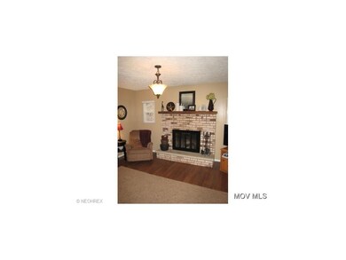 Wood Burning Fireplace