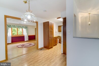 1867 Griffith Rd, Falls Church, VA 22043 - photo 5