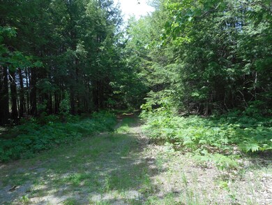 DSCN1904