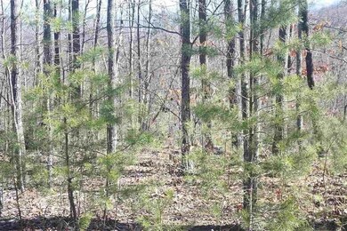 Appleview Way unit Newport TN 37821, Newport, TN 37713 - photo 5