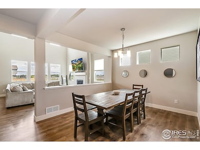 6398 Verna Ct, Timnath, CO 80547 - photo 6