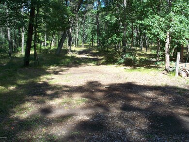 3429 W 16th St, Baldwin, MI 49304 - photo 3