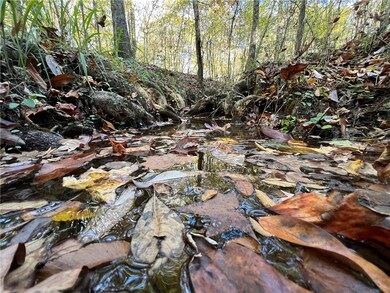 unlisted-address, Camp Hill, AL 36850 - photo 2