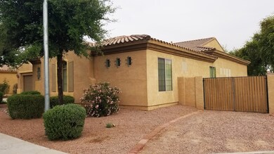 5_frontYard3