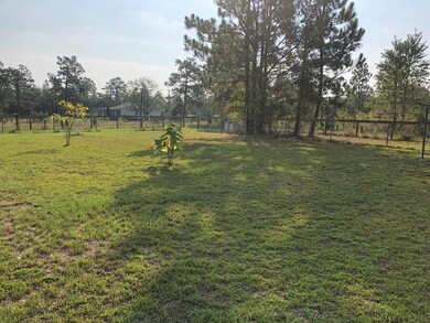 844 Windsor Rd, Windsor, SC 29856 - photo 6