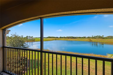View from back lanai