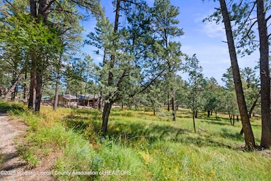 112 Course View Dr, Ruidoso, NM 88345 - photo 3