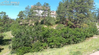 Scrub Oak, Trees