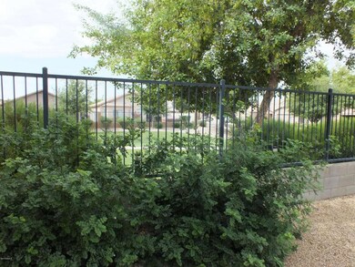 Southwest corner of back yard