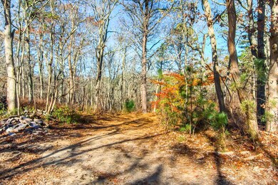 0 Cranberry Acres Way, Tisbury, MA 02568 - photo 6