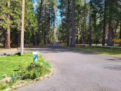 3485 Pleasant Creek Rd, Rogue River, OR 97537 - photo 4