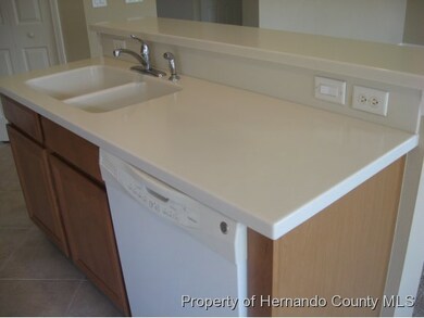 9608 Jasmine Brook Cir, Land O Lakes, FL 34638 - photo 7