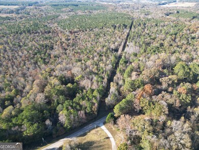 0 Cedar Grove Rd unit 10645353, Buckhead, GA 30625 - photo 4