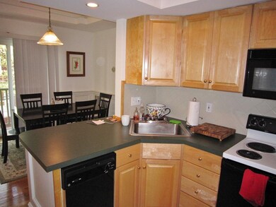 114 Pleasant St unit 4, Cambridge, MA 02139 - photo 4