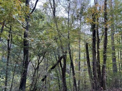 IMG_0936